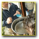 [Click to enlarge image]